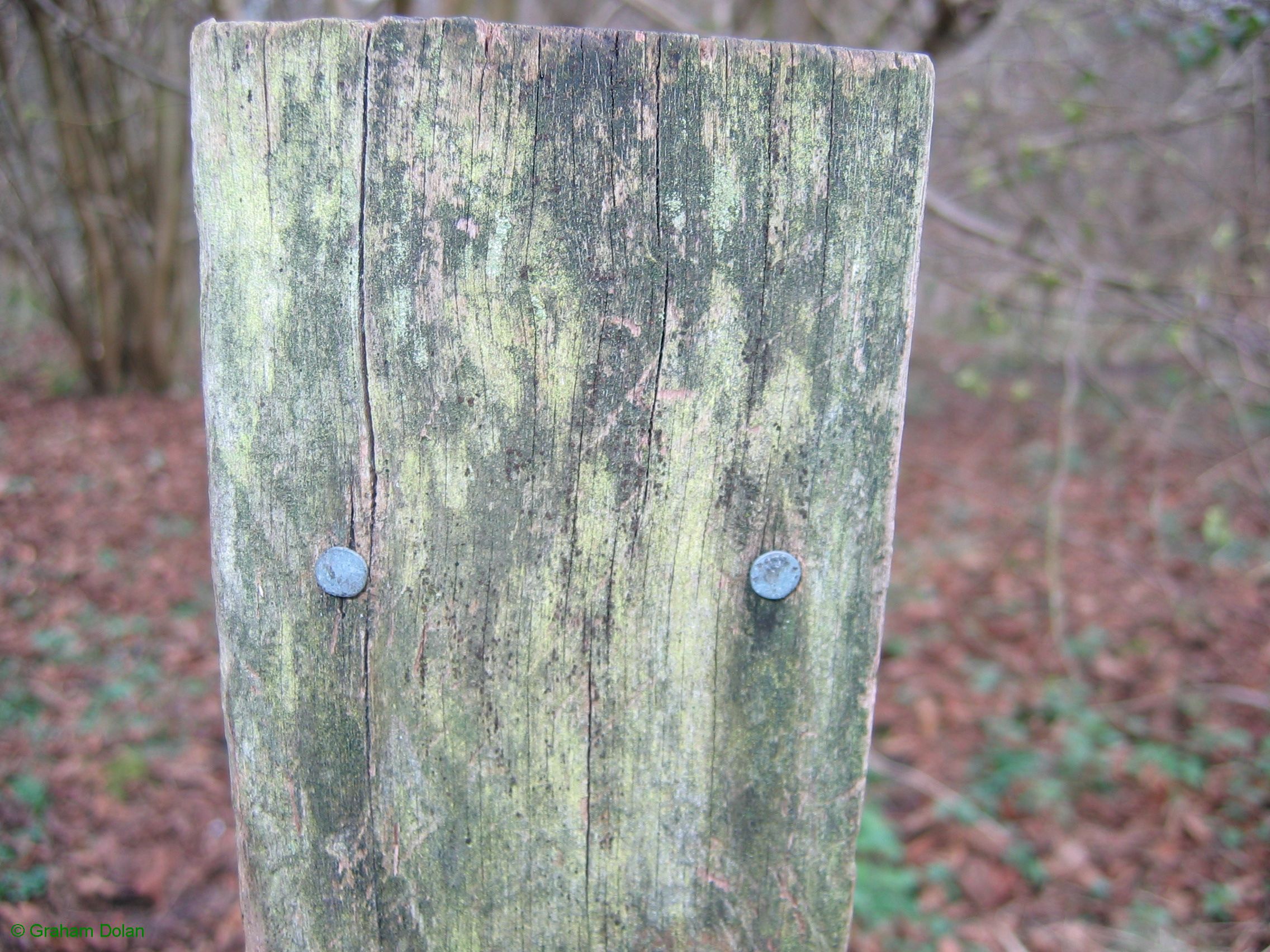 Greenwich Meridian Marker; England; Lincolnshire; Winceby